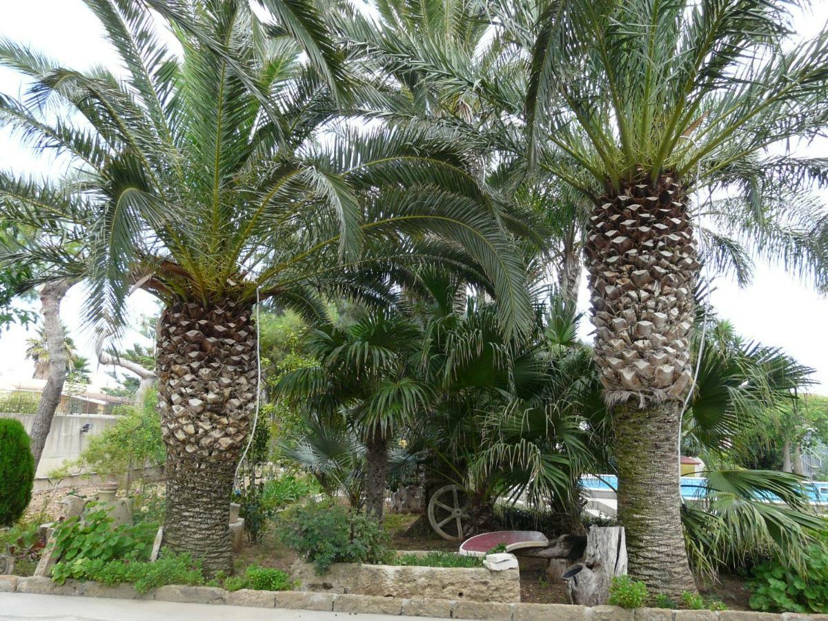 Villa Yucca Avola Exterior photo